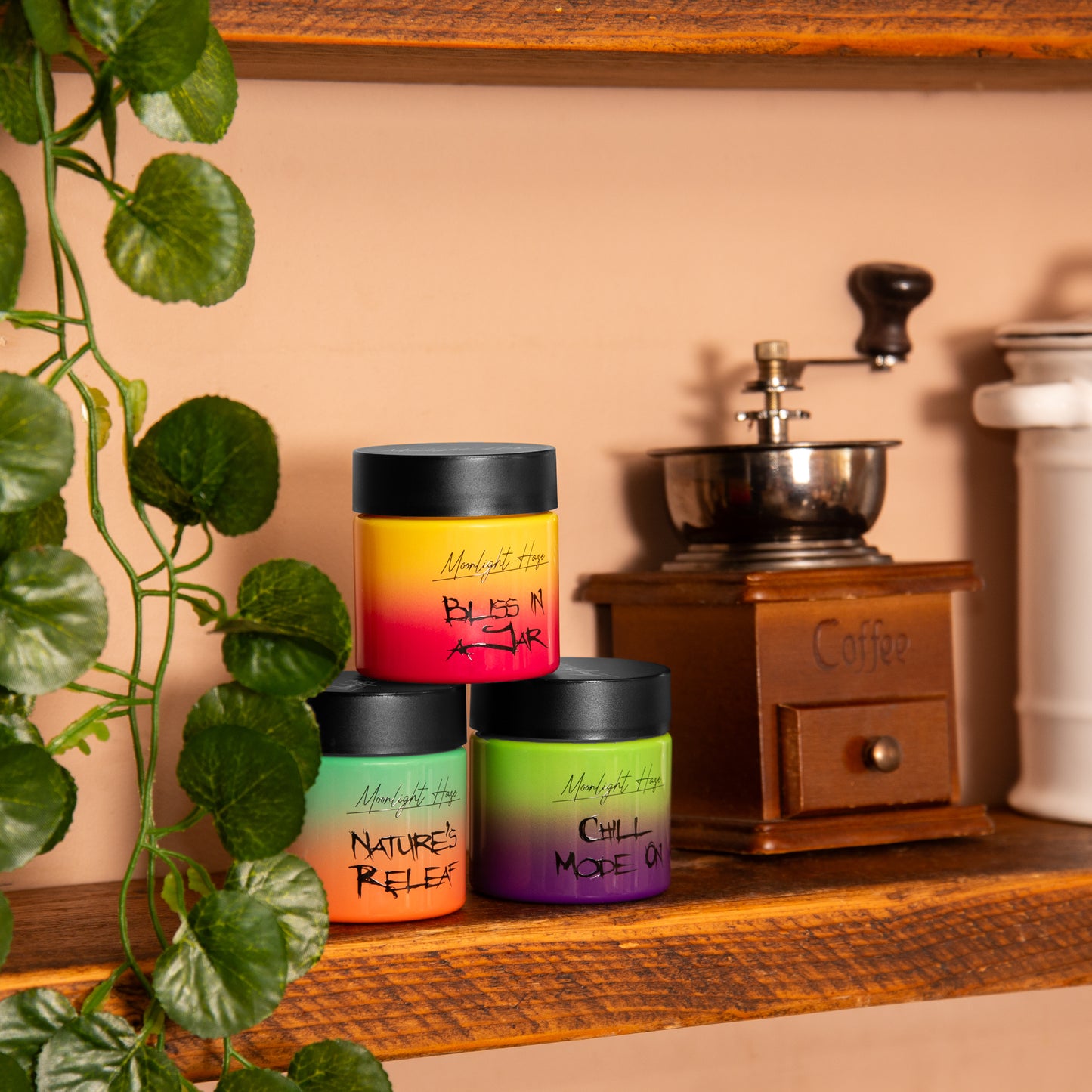 Air Tight Stash Jars Gift Set